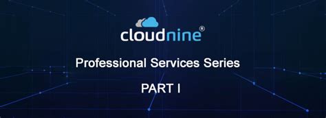 eDiscovery Support Professional Services - CloudNine