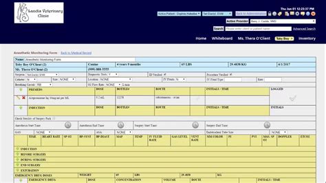eVetPractice Anesthetic Monitoring Form Setup and Use YouTube