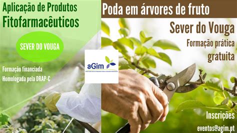 brdice: Aposte nas Melhores Apostas Desportivas Online e Fique Tranquilo com a Proteção de Fundos - Foto 2