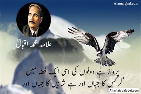 Eagle Point Urdu