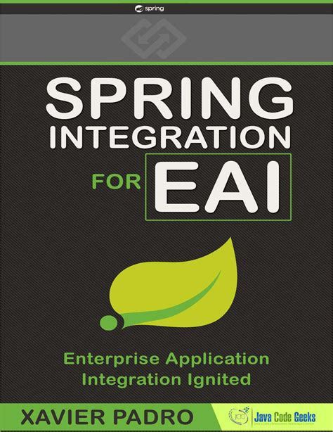 Read Online Eai With Spring Integration Techtarget 
