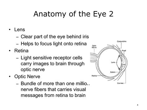 Full Download Ear Nose Lecture Notes Gondar University 