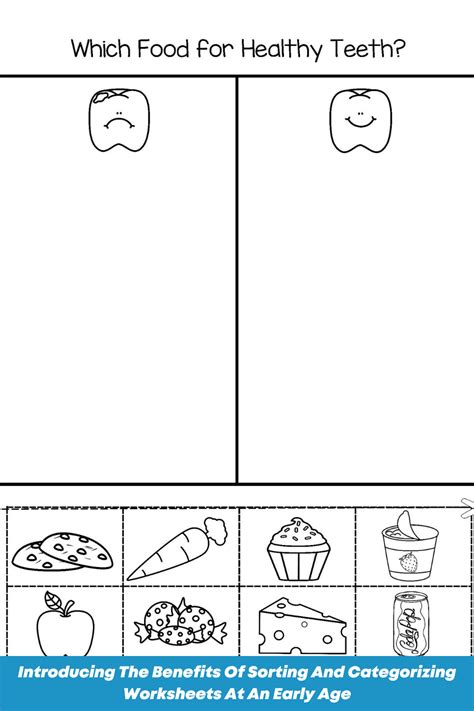 Early Childhood Sorting And Categorizing Worksheets For Kindergarten Sorting Worksheets - Kindergarten Sorting Worksheets