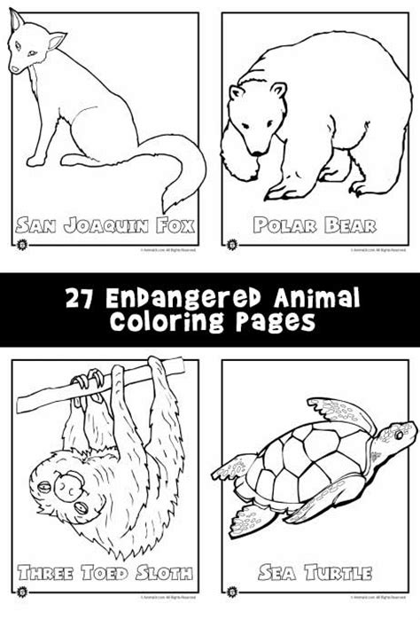 Earth Day Endangered Animals Colouring Pages Twinkl Endangered Animals Coloring Pages - Endangered Animals Coloring Pages