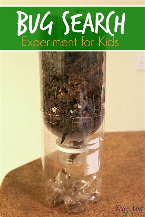 Earth Day Science Bug Search Experiment True Aim Bug Science - Bug Science