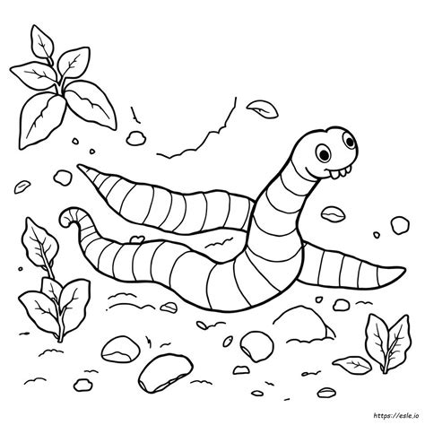 Earthworm Coloring Key