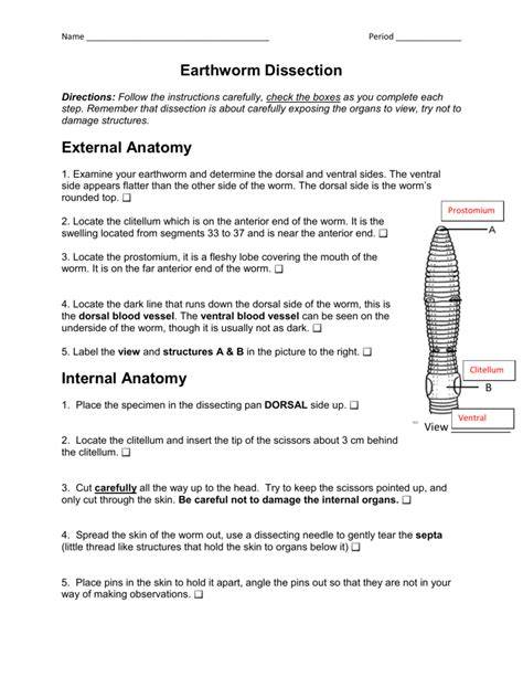 earthworm dissection study guide answers