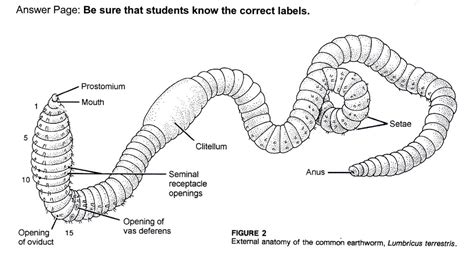 earthworm label