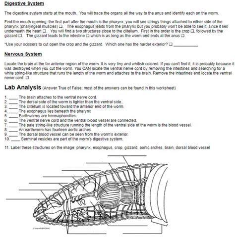 Earthworm Pre Lab Answer Key