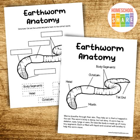 Earthworm Worksheets Free Homeschool Share Preschool Worm Worksheet - Preschool Worm Worksheet