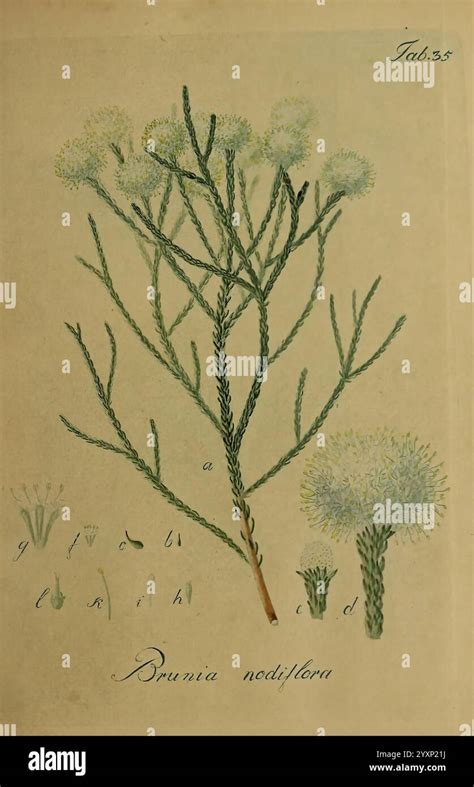 Instagram post by Fanny Crist #0