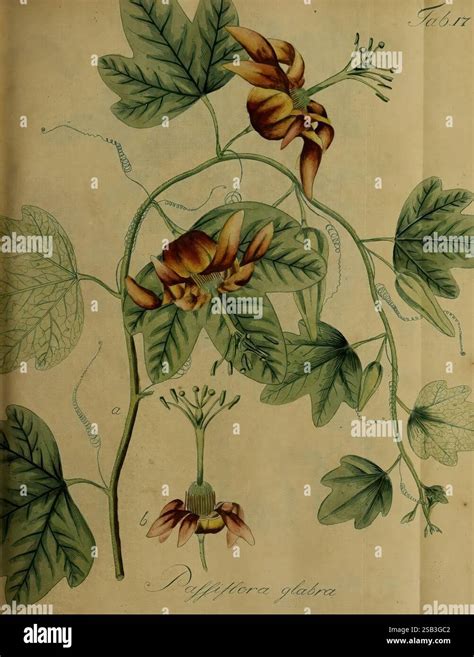 Instagram post by Thurman Lynch #6