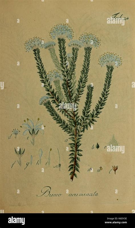 Instagram post by Autumn Christiansen #6