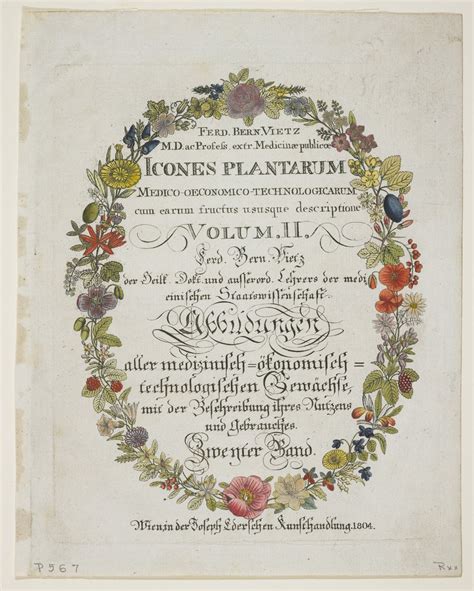 work photo by Brooke Leuschke