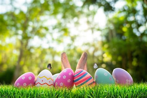 Easter Bunny Tracker