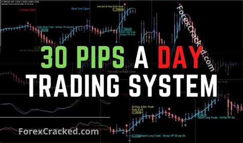 Easy 30 Pips A Day In Forex
