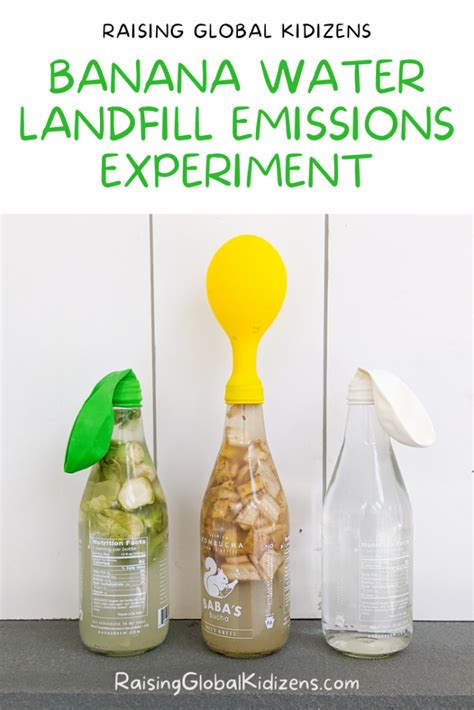 Easy Banana Water Landfill Emissions Sustainability Science Banana Science Experiments - Banana Science Experiments