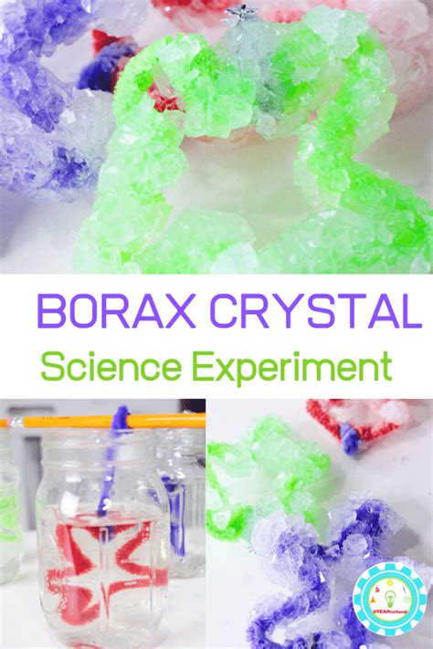 Easy Borax Crystals Science Project Perfect For A Science Experiments Growing Crystals - Science Experiments Growing Crystals