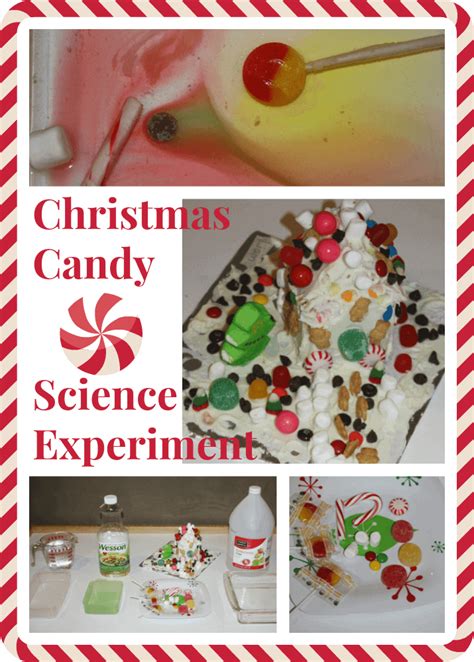 Easy Christmas Science Experiment With Candy Canes Confidence Candy Science Experiments - Candy Science Experiments