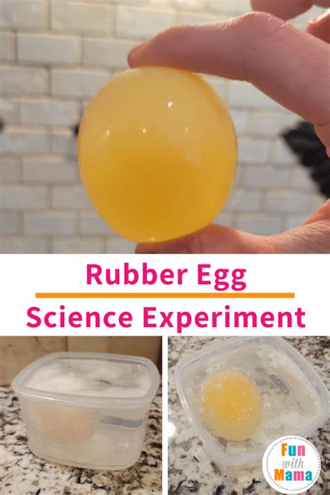 Easy Egg In Vinegar Experiment Fun With Mama Rubber Egg Experiment Worksheet - Rubber Egg Experiment Worksheet