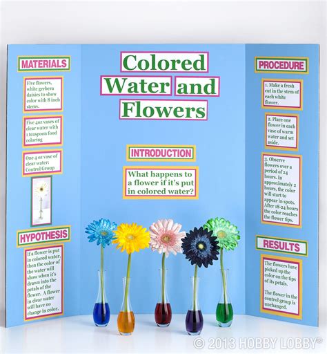 Easy Flower Science Fair Project For Students Wehavekids Science Experiments With Flowers - Science Experiments With Flowers