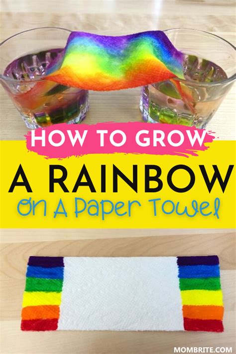 Easy Grow A Rainbow On Paper Towel Experiment Paper Towel Science Experiment - Paper Towel Science Experiment
