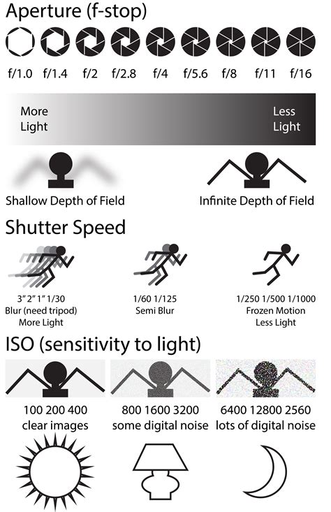 Easy Guide To Digital Camera Filters