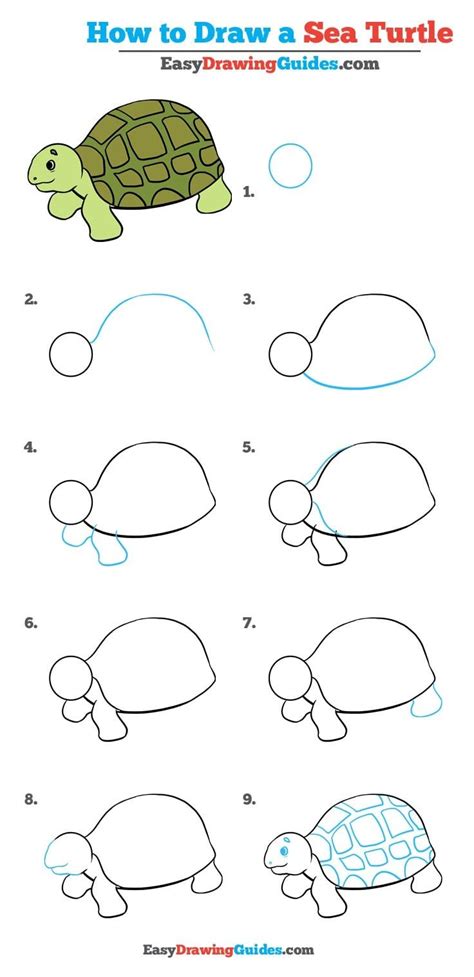 Easy How To Draw A Turtle Tutorial And Turtle Patterns To Trace - Turtle Patterns To Trace