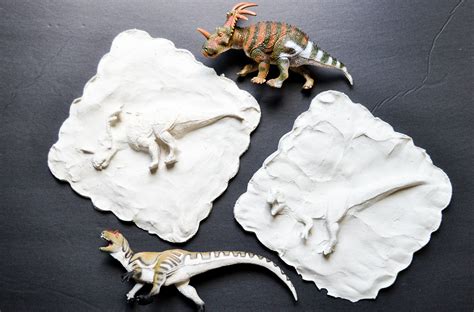 Easy Make Your Own Dinosaur Fossils Activity For Fossil Activities For 3rd Graders - Fossil Activities For 3rd Graders