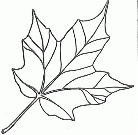 Easy Maple Leaf Coloring Page Thekidsworksheet Maple Tree Coloring Pages - Maple Tree Coloring Pages