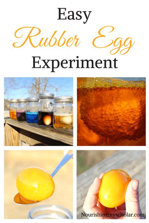 Easy Rubber Egg Experiment Nourishing My Scholar Rubber Egg Experiment Worksheet - Rubber Egg Experiment Worksheet