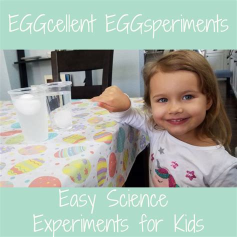 Easy Science Experiments For Kids Eggsperiments 4 Kinder Science Eggs - Science Eggs
