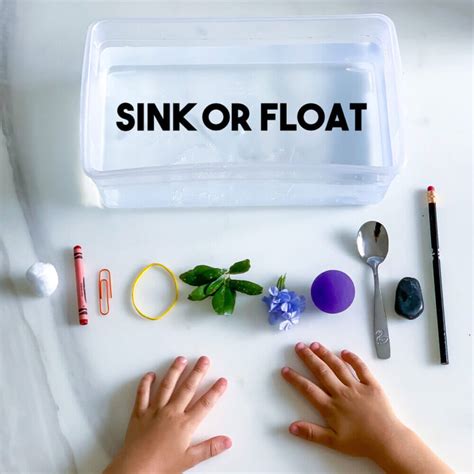 Easy Science Sink Or Float Crafts For Kids Sink Or Float Science Experiment - Sink Or Float Science Experiment