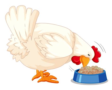 eating chicken clipart