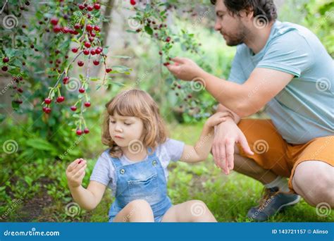 Eating From The Cherry Tree A Sexual Epiphany