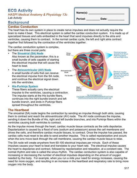 Ecg Activity Haspi Answer Key