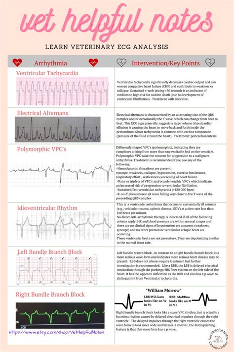 Ecg Rhythm Practice Vet