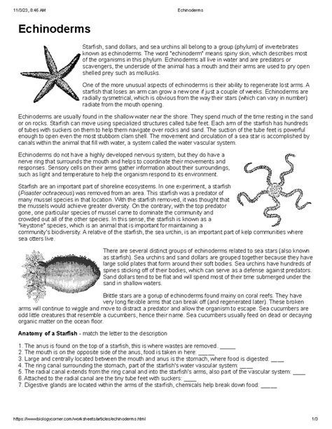 echinoderms packet answers