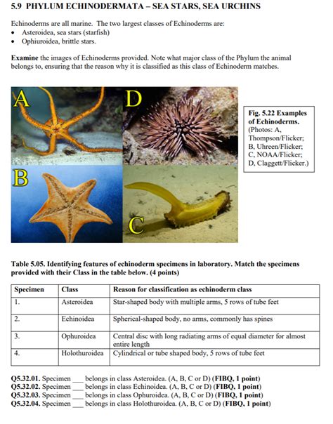 Read Online Echinoderms Chapter Test Answer Key 