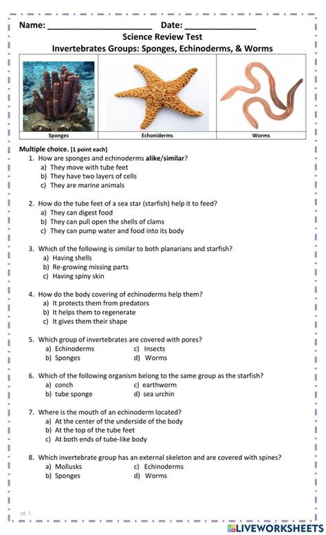 Read Online Echinoderms Chapter Test Answer Key 