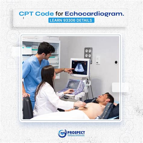Echo Cpt Code