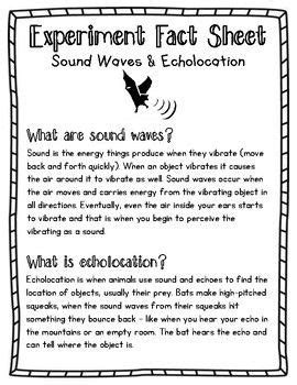 Echolaction Worksheet First Grade Echolocation Worksheet First Grade - Echolocation Worksheet First Grade