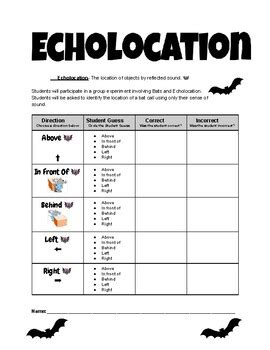 Echolocation Experiment Teaching Resources Teachers Pay Teachers Tpt Echolaction Worksheet First Grade - Echolaction Worksheet First Grade