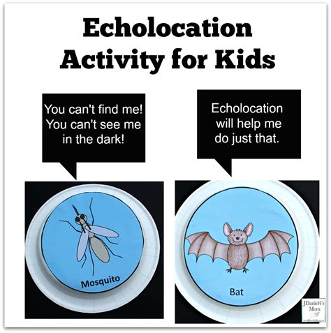 Echolocation Worksheets Lesson Worksheets Echolaction Worksheet First Grade - Echolaction Worksheet First Grade