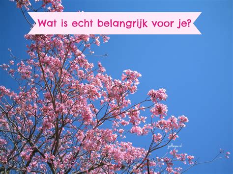 echt belangrijk