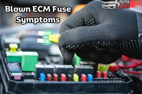 ecm fuse sign