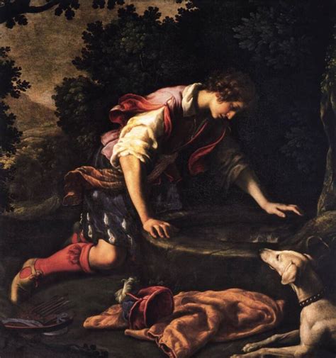 Eco E Narciso