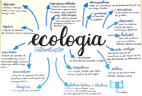 Ecologia Mapa Mental