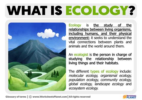 ecological meaning