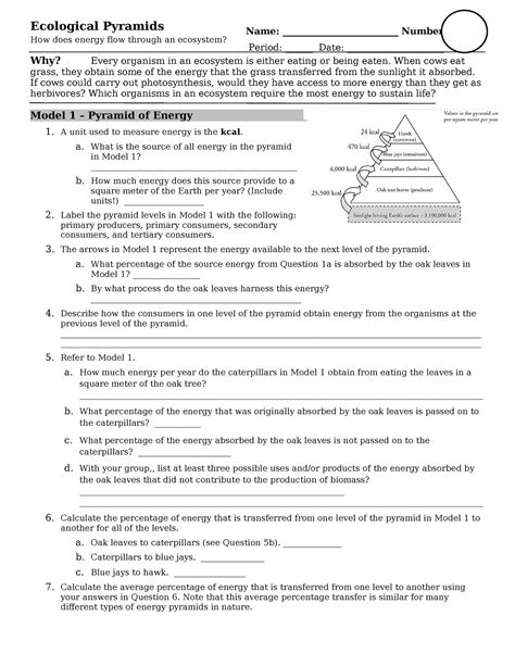 Ecological Pyramids Pogil
